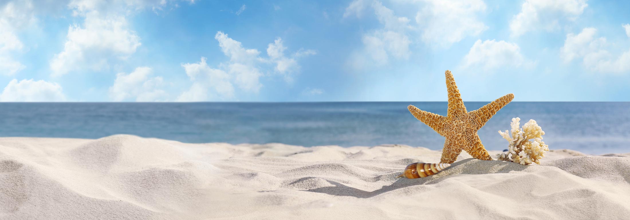 Image de fond Grain<span>2</span>Sel